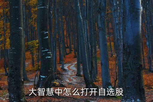 怎么打開自選股，電腦上怎樣添加自選股