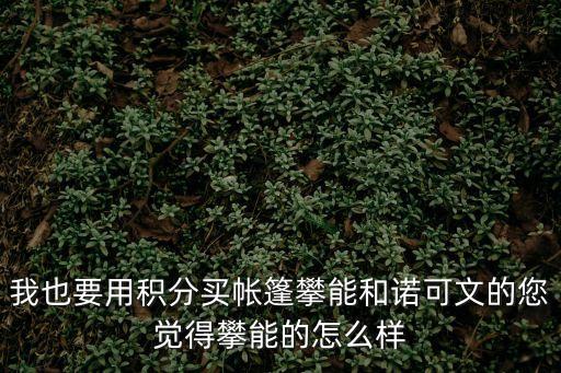 攀能牌羽毛球怎么樣，我也要用積分買帳篷攀能和諾可文的您覺得攀能的怎么樣
