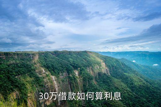 30萬借款如何算利息
