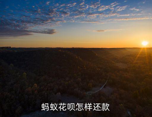 螞蟻花唄怎樣還款