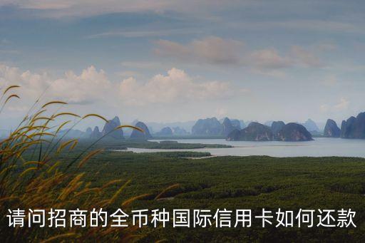 招行全幣種卡怎么還款，請問招商的全幣種國際信用卡如何還款