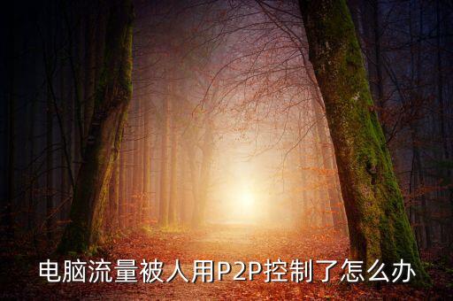 電腦流量被人用P2P控制了怎么辦