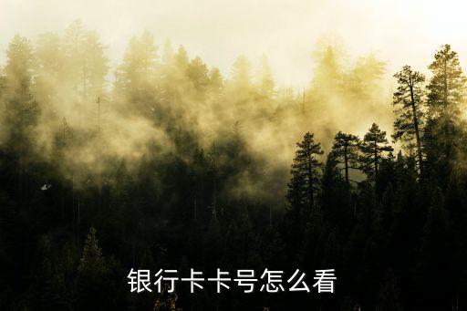 銀聯(lián)卡主卡號(hào)怎么看，湖南銀聯(lián)卡號(hào)戶主怎樣查找