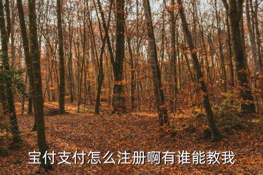 寶付支付怎么注冊啊有誰能教我