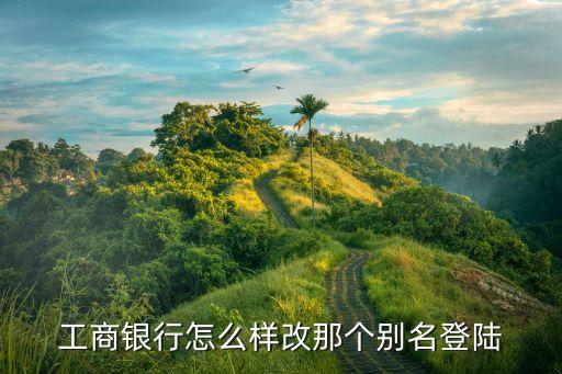 工商銀行怎么樣改那個(gè)別名登陸