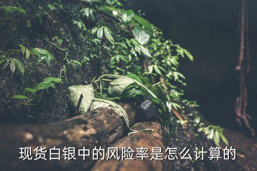 現(xiàn)貨白銀中的風(fēng)險(xiǎn)率是怎么計(jì)算的