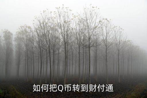 如何把Q幣轉(zhuǎn)到財(cái)付通