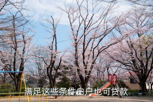 滿足這些條件白戶也可貸款