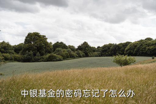 中銀基金怎么找回密碼，中銀基金的密碼忘記了怎么辦