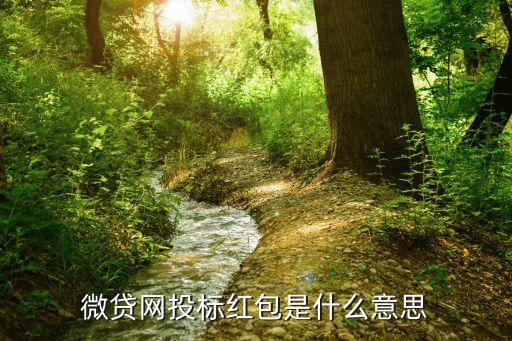 微貸網(wǎng)新手紅包怎么來的，微貸網(wǎng)投標(biāo)紅包是什么意思