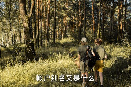 帳戶別名又是什么