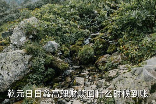 乾元日日鑫高怎么贖回，乾元日日鑫高理財贖回什么時候到賬