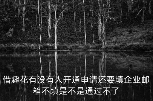 借趣花有沒有人開通申請還要填企業(yè)郵箱不填是不是通過不了
