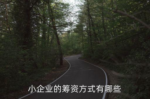 小企業(yè)的籌資方式有哪些