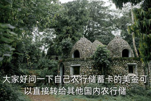 農(nóng)行卡里有美金 怎么轉(zhuǎn)出，請(qǐng)問(wèn)下農(nóng)行信用卡美金咋涮出來(lái)