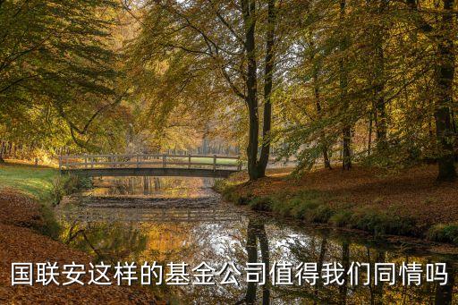 國(guó)聯(lián)安新精選怎么樣，國(guó)聯(lián)安基金近幾年發(fā)展怎樣比較適合哪種投資