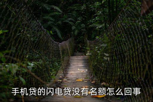 手機(jī)貸的閃電貸沒有名額怎么回事