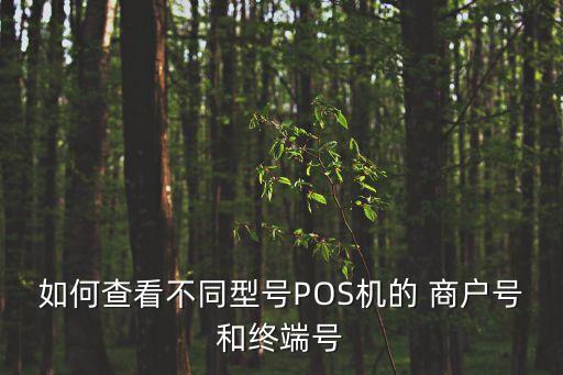 商戶客戶號怎么查，銀行交易明細的商戶號網(wǎng)點號怎樣查詢eg00000005691 類型消費