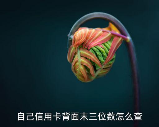 自己信用卡背面末三位數(shù)怎么查