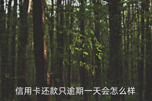 信用卡還款晚了一天會怎么樣，信用卡推遲還款一天有影響嗎
