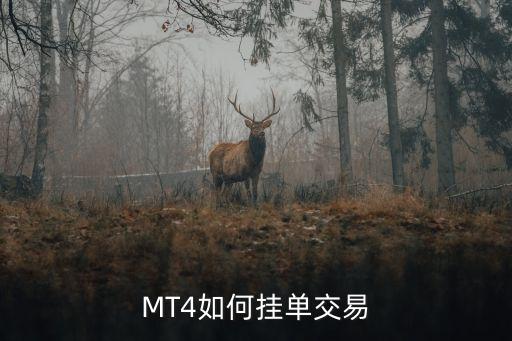 MT4如何掛單交易