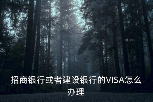 招商銀行或者建設(shè)銀行的VISA怎么辦理