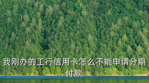 我剛辦的工行信用卡怎么不能申請(qǐng)分期付款