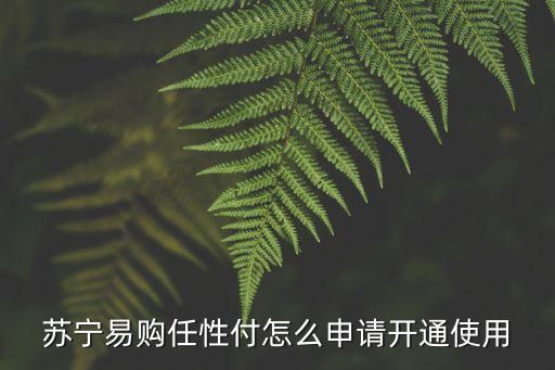 蘇寧任性付怎么受邀請(qǐng)，蘇寧的任性付怎么開(kāi)通