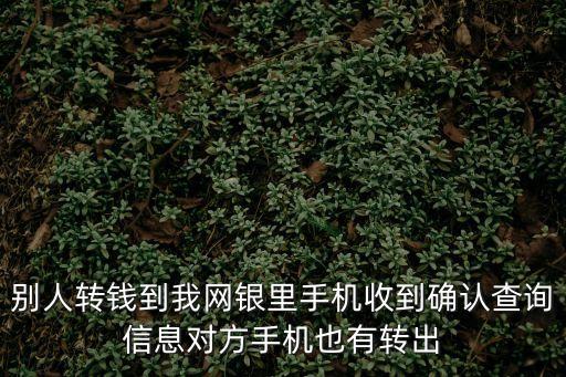 別人轉(zhuǎn)錢到我網(wǎng)銀里手機收到確認查詢信息對方手機也有轉(zhuǎn)出