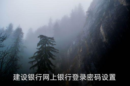 中國(guó)建設(shè)銀行怎么登陸密碼，建設(shè)銀行的登陸密碼怎么設(shè)置