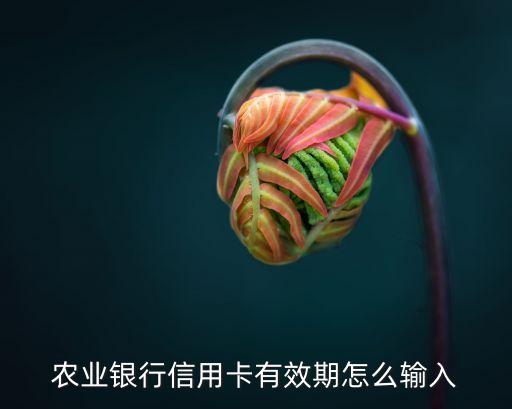 農業(yè)銀行信用卡有效期怎么輸入