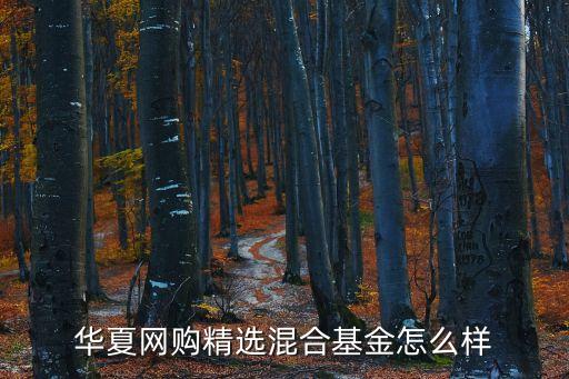 華夏網(wǎng)購精選混合基金怎么樣