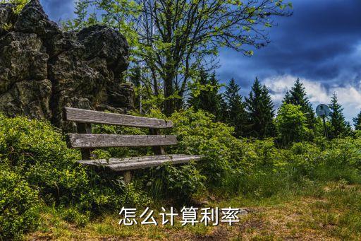 怎么算出利息率，怎么計(jì)算利率