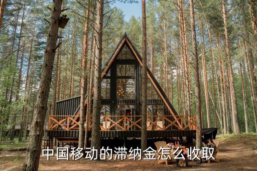 中國移動的滯納金怎么收取