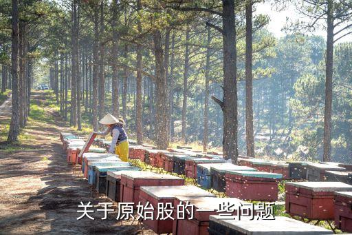 關(guān)于原始股作為客戶怎么提問，關(guān)于原始股的幾個(gè)問題