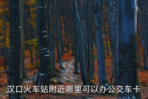 漢口火車站附近哪里可以辦公交車卡