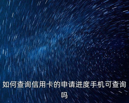 閃銀怎么查看申請進度，請問怎么查詢申請進度啊