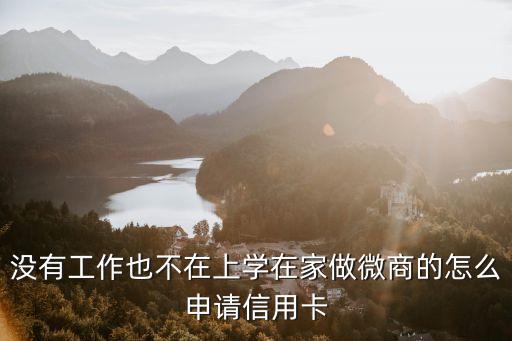 沒有工作也不在上學(xué)在家做微商的怎么申請信用卡