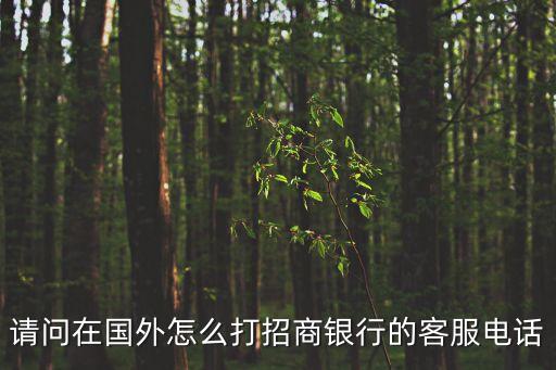 國外怎么撥打招行電話號碼，請問在國外怎么打招商銀行的客服電話