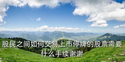 股民之間如何交易上市停牌的股票需要什么手續(xù)謝謝