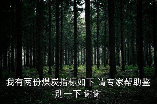 我有兩份煤炭指標如下 請專家?guī)椭b別一下 謝謝
