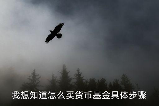 2016年貨幣寬松政策下怎么買基金，買貨幣基金怎么買