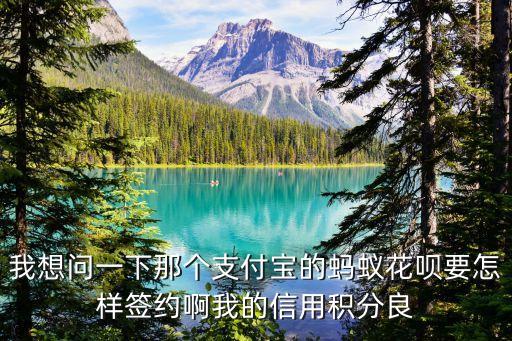 怎么用螞蟻信用簽證，怎樣簽約螞蟻花唄