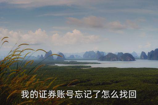 我的證券賬號(hào)忘記了怎么找回