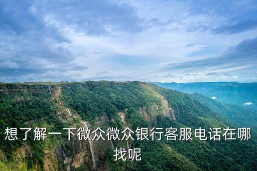 想了解一下微眾微眾銀行客服電話在哪找呢