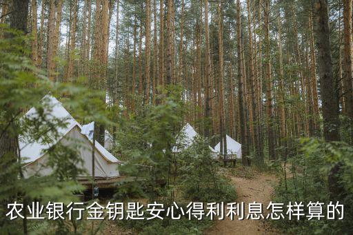 農(nóng)業(yè)銀行金鑰匙安心得利利息怎樣算的