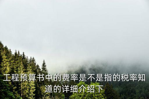 工程預算書中的費率是不是指的稅率知道的詳細介紹下
