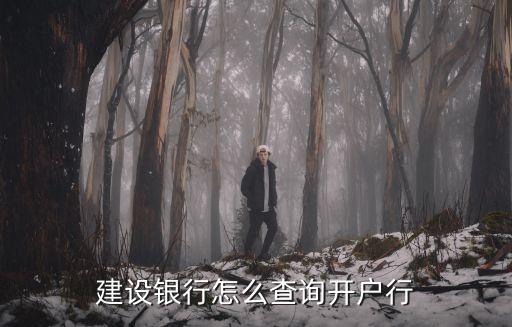 建設(shè)銀行開戶行地址怎么查，建設(shè)銀行怎么查詢開戶行