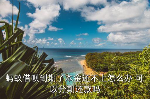 螞蟻借唄到期了本金還不上怎么辦 可以分期還款嗎