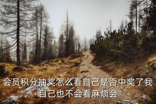 會(huì)員積分抽獎(jiǎng)怎么看自己是否中獎(jiǎng)了我自己也不會(huì)看麻煩會(huì)